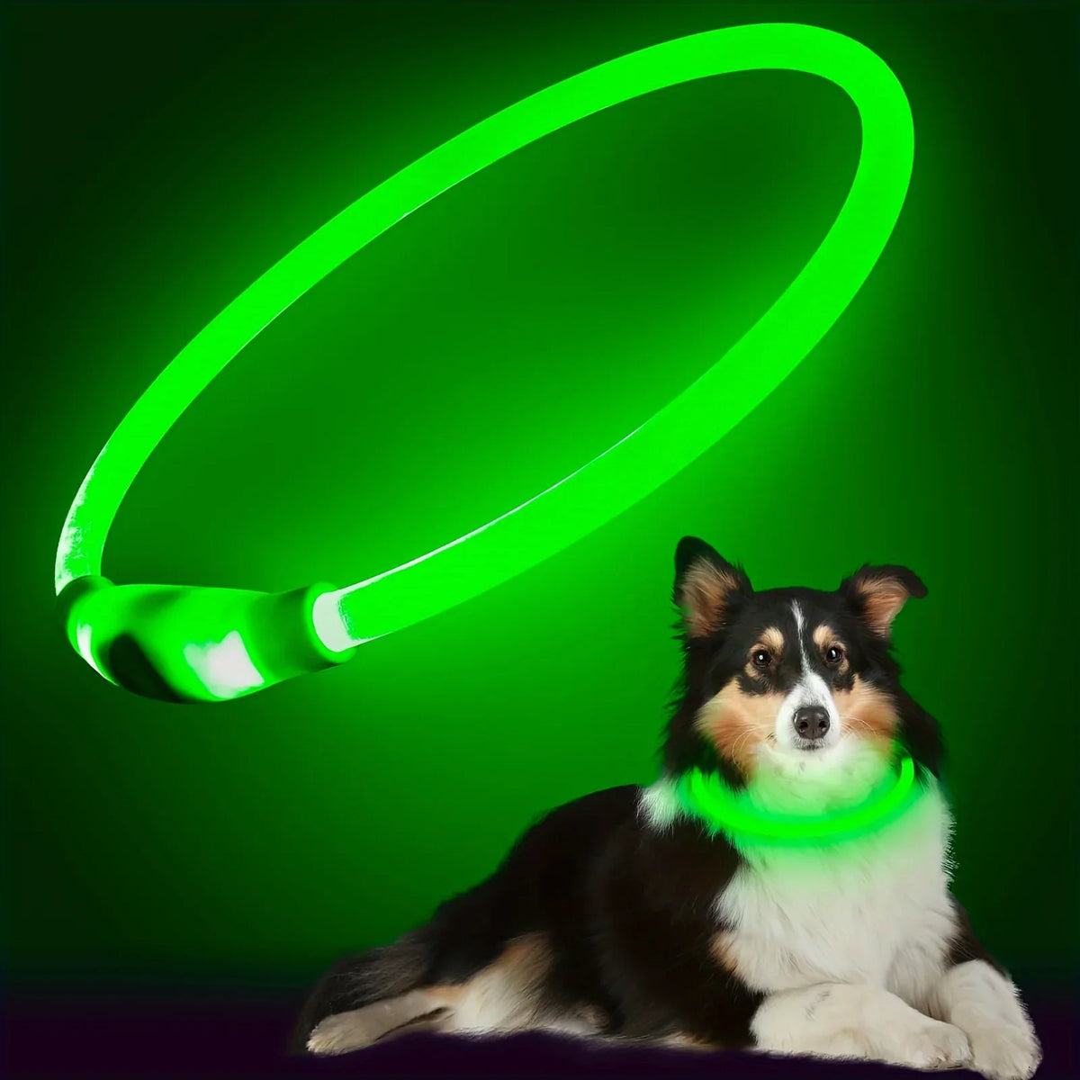 USB Rechargeable Fiber Optic Collar Pet Dog LED Light Collar Luminous Anti-Lost Dog Collar USB Rechargeable Dog Necklace Collar